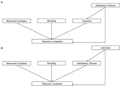 Can Cognitive Control and Attentional Biases Explain More of the Variance in Depressive Symptoms Than Behavioral Processes? A Path Analysis Approach